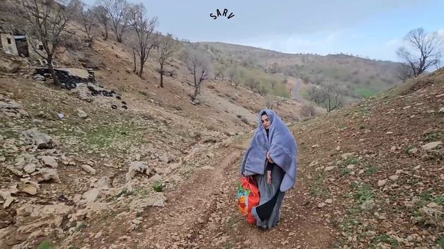 The defeat of the nomadic lady: Ali's takeover of the nomadic house смотреть онлайн