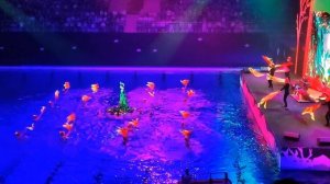 Невская волна. Праздничное шоу