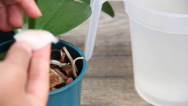 Make your orchids shine! 1 cup every week and you will get 500 times more flowers! смотреть онлайн
