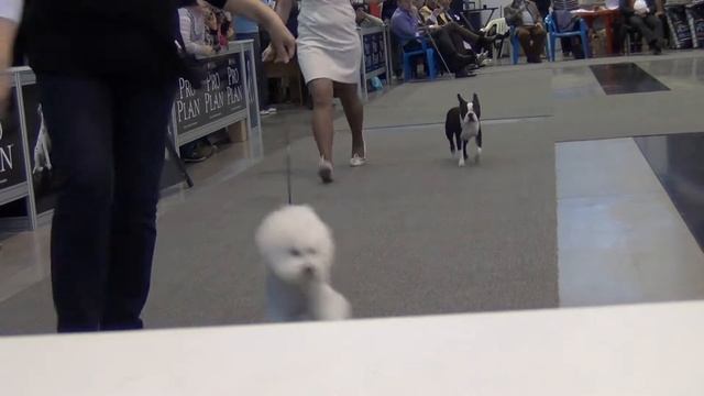 00220 САСIB Екатеринбург ХХI век 2013г. смотреть онлайн