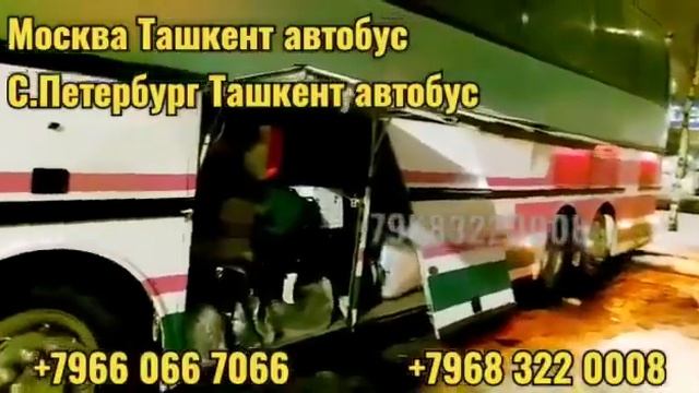 TAKSI SANKT-PETERBURG TASHKENT +7968.3220008 ___ 27.12.2022 #москва #ташкент #мигранты смотреть онлайн