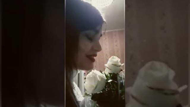 "Белые розы"вечны❤ ( видеоархив25.02.2021г) #юрийшатунов #белыерозы #ласковыймай#шлягер #музыка смотреть онлайн