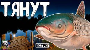 RF4 ОНИ ТЯНУТ НЕОЖИДАННО И РЕЗКО