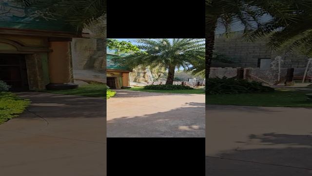 Парк развлечений/VinWonders/Сейф с золотом смотреть онлайн