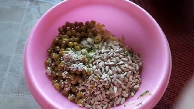 Свидание на кухне. Салат веселый. смотреть онлайн