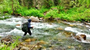 Алтай. Через заповедник к реке Катунь. Часть 2