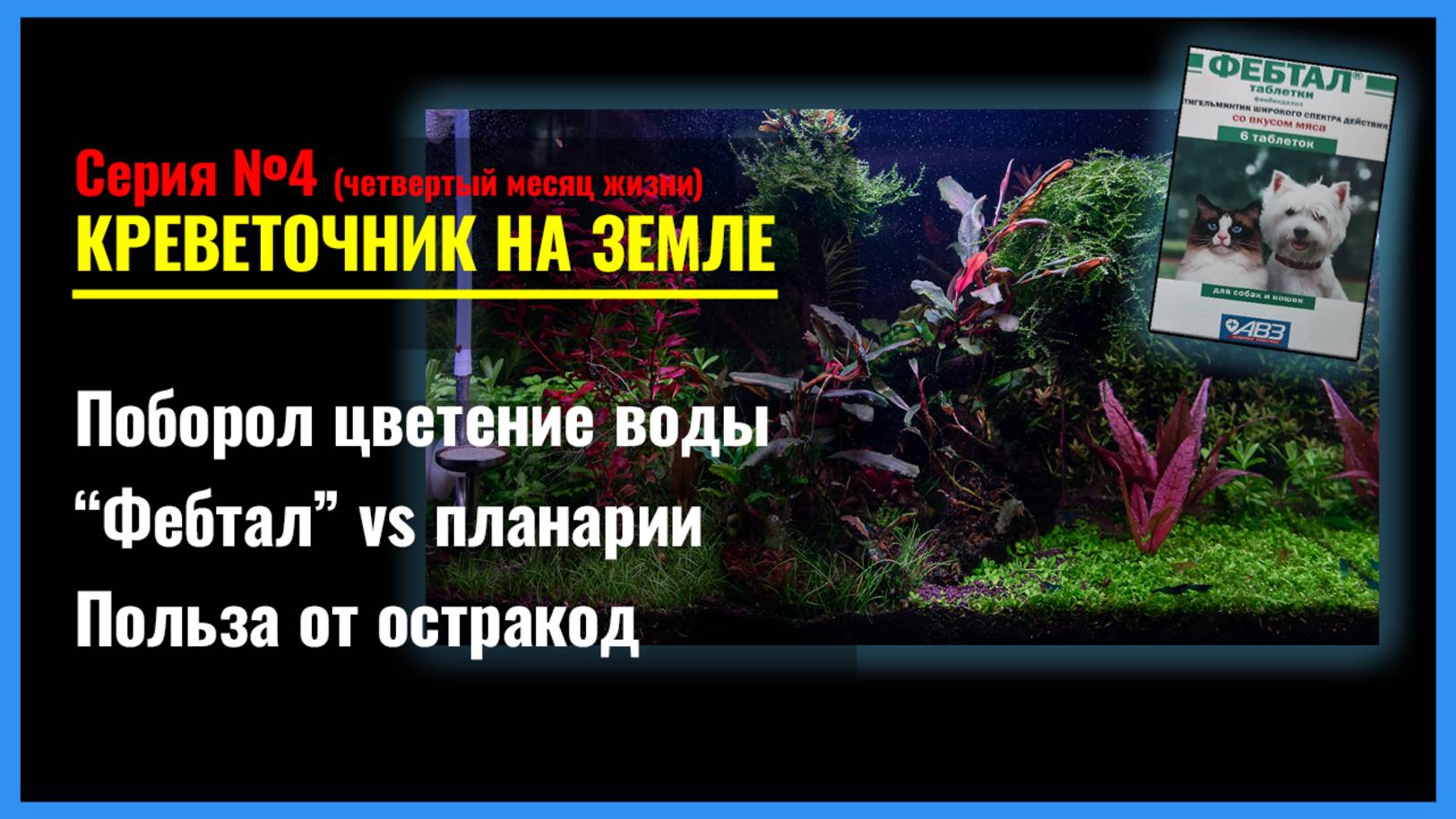 Серия 4. Последствия ЗАТЕМНЕНИЯ ТРАВНИКА. Фебтал против Планарий. Личинки Амано и Мальки Блю Дрим смотреть онлайн