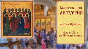 Трансляция богослужений. Неделя 27-я по Пятидесятнице. святых Праотец.