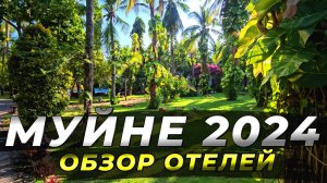 Муйне 2024.Обзор Отелей Sea Lion и Four Oceans. #муйне2024 #вьетнам2024 #отели #путешествие