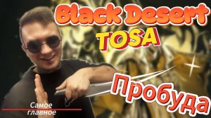 Разбираю Класс ТОСА(Пробуждение) ПВЕ в Black Desert.(Самое главное)