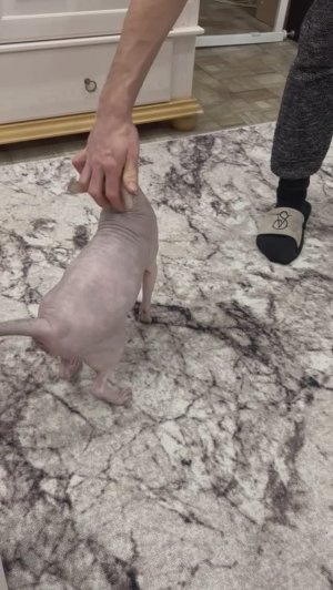 Она не хочет от нас уезжать❤️😻🇷🇺