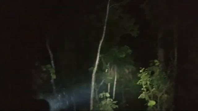 Senter Convoy S2+ Sst40 1800 Lumens