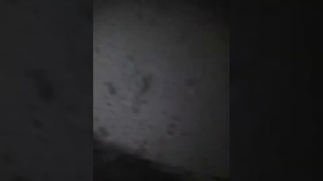 Боря мен Коля😂😂😂😂😂 смотреть онлайн