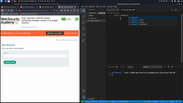 07. Lab 6 - SQL injection UNION attack, retrieving multiple values in a single column смотреть онлайн