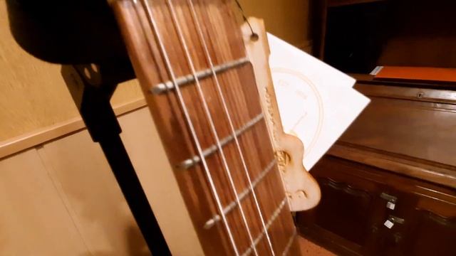 Portuguese Fado Guitar APC GF305LS смотреть онлайн