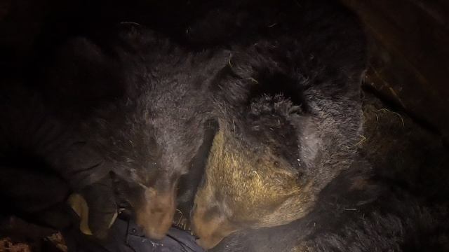 Буржуй хорошо устроился.