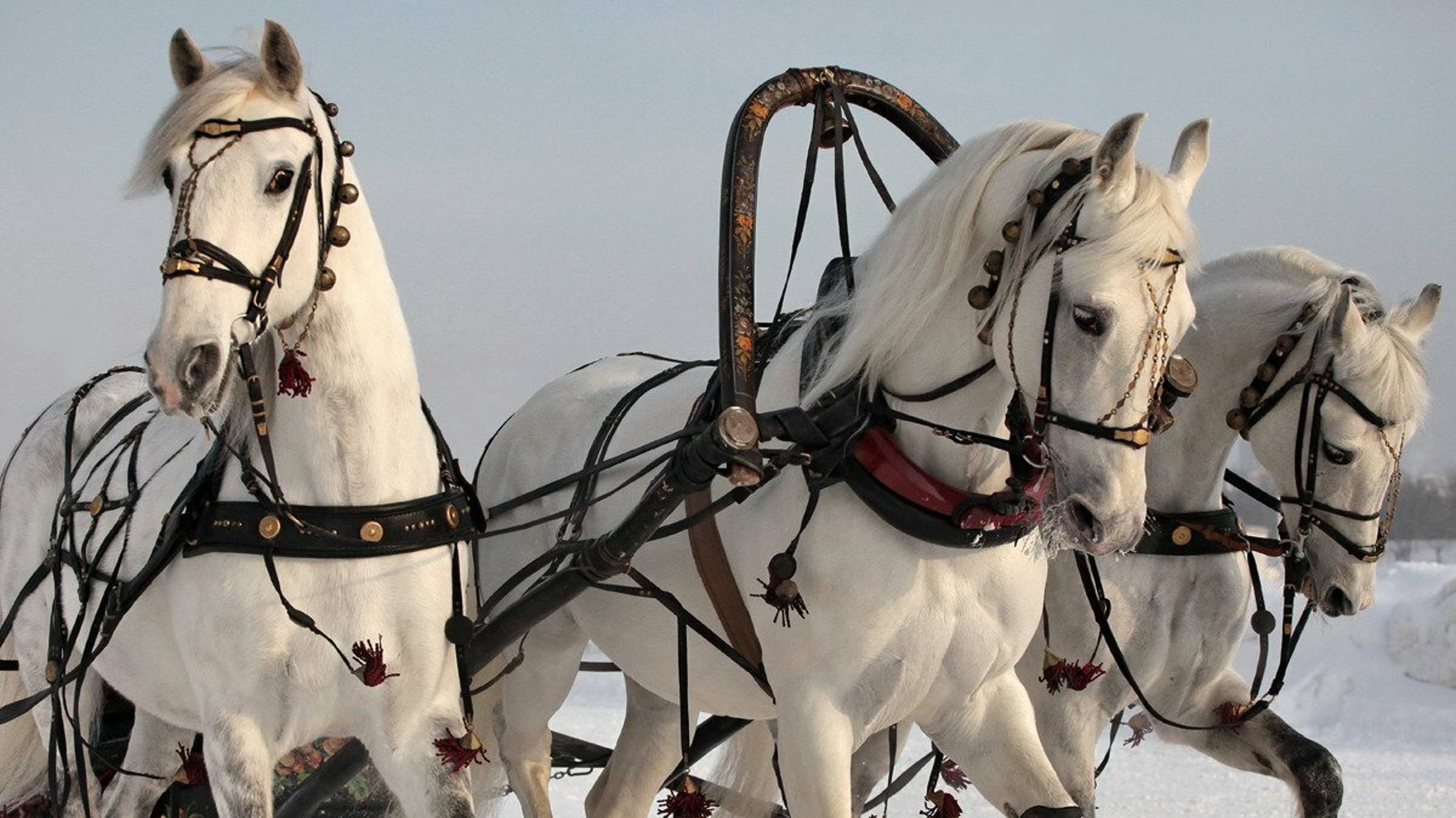 Дорогой длинною.
(Дуэт)