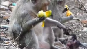 Макашонок: - Что делать? Требовать...