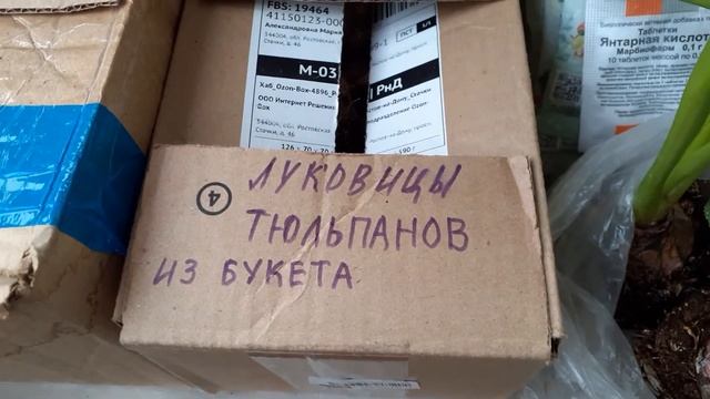 10 апреля 2021 г. смотреть онлайн