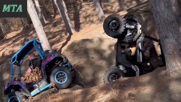 Смешные моменты