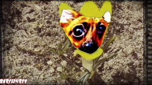 RYTP |@А ну-ка Давай-ка #2