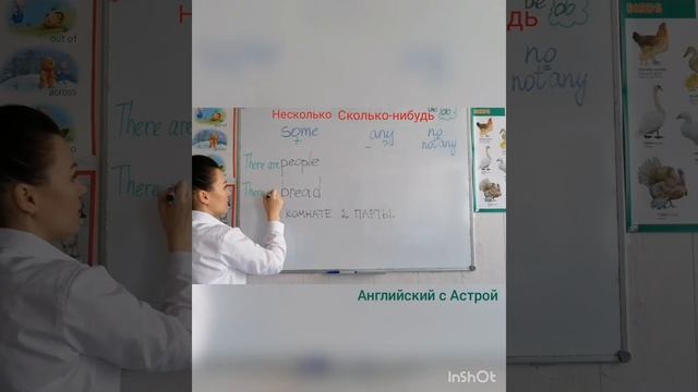 Some any no в английском языке смотреть онлайн