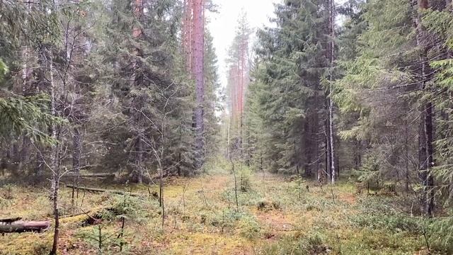 С ЭТОГО ДНЯ Я БУДУ КОНТРОЛИРОВАТЬ ТВОИ ТРАТЫ!... | Истории из жизни. смотреть онлайн
