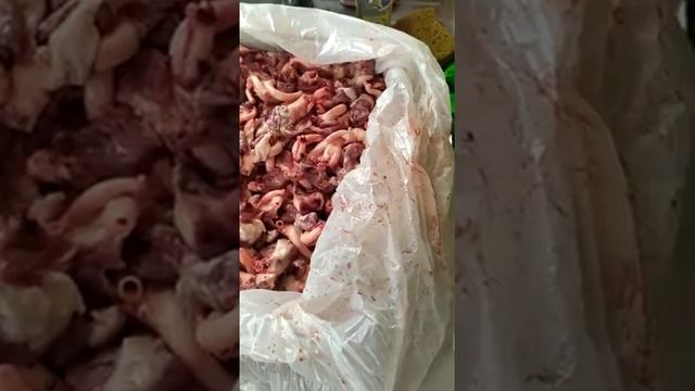 обрезь для собак 89262589992 (Москва) смотреть онлайн