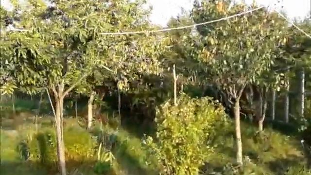 Мой фильм смотреть онлайн