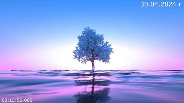 909 30.04.2024 г смотреть онлайн