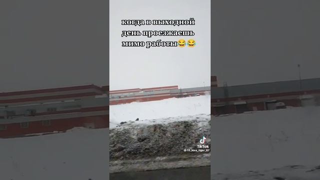 мимо любимой работы