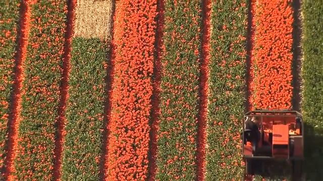 Пятничная проповедь. г. Стерлитамак. Мухаммад хазрат. Условия ля Иляха илляЛах (2) 3/7 смотреть онлайн