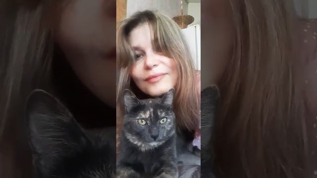 7.07ДикаякошкаВеста,поправляется после падения 7.06с5этажа 10.06нашли вподвале11.06операция#кошки смотреть онлайн