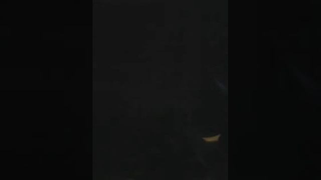 Копия видео "Дискотека дк Разгуляевке" смотреть онлайн