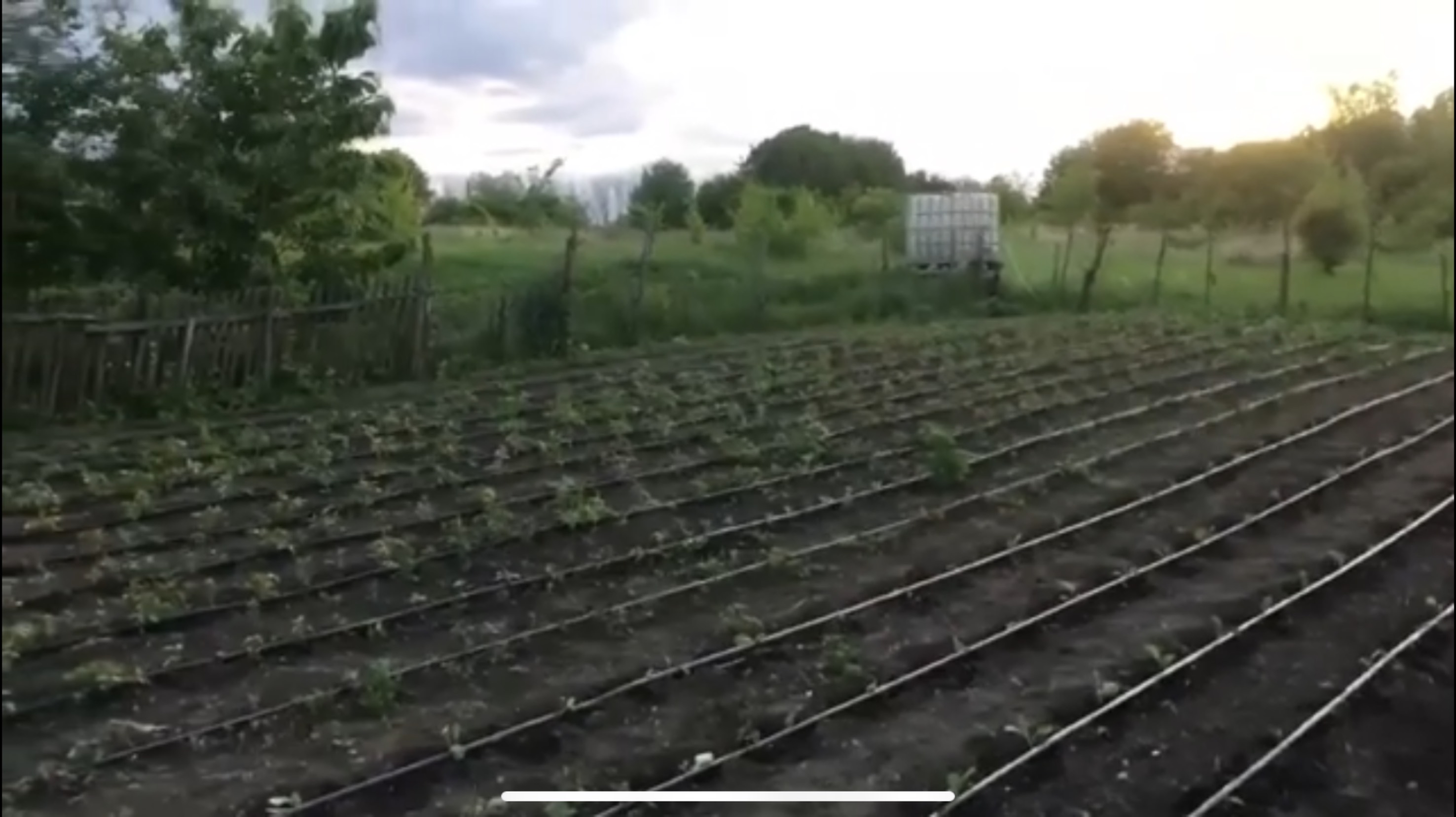 Монтаж небольшого капельного полива/ Обзор участка родителей. смотреть онлайн