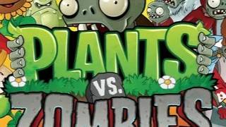 Pvz #4