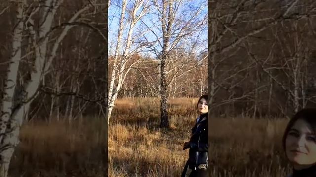 Осень#новыепесни#музыкатоп#лучшийшансон#песниожизни#владимиржуравель#журавельшансон#новыйальбом смотреть онлайн