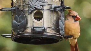 Красивая Мелодия До Слез! Самая Красивая Музыка на Свете! Нежная музыка для души