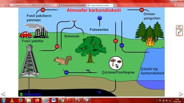 Özetle Madde Döngüleri Biyoloji, Su - Karbon- Azot Döngüsü, 10. sınıf biyoloji #biyoloji #posof смотреть онлайн