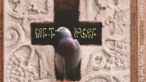 Уникальный музыкальный альбом «Всего-то навсего». Слушать музыку в исполнении