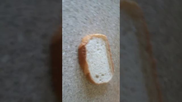 Необычный сендвич смотреть онлайн