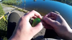 Доработка китайского сигнализатора поклёвки