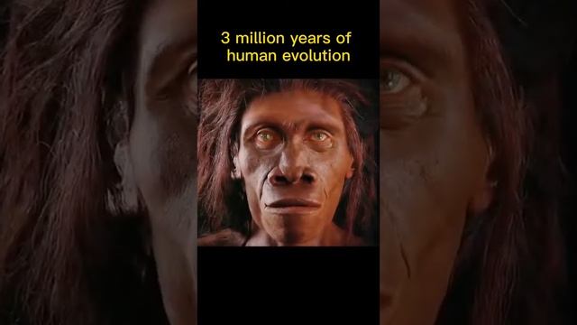 human evolution смотреть онлайн