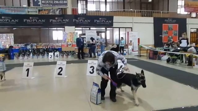 DSCN7535 смотреть онлайн