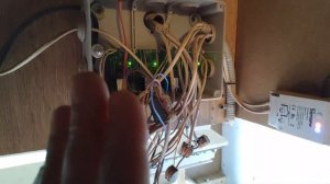 Куры прилетели! Переезд из зимнего курятника в летний.