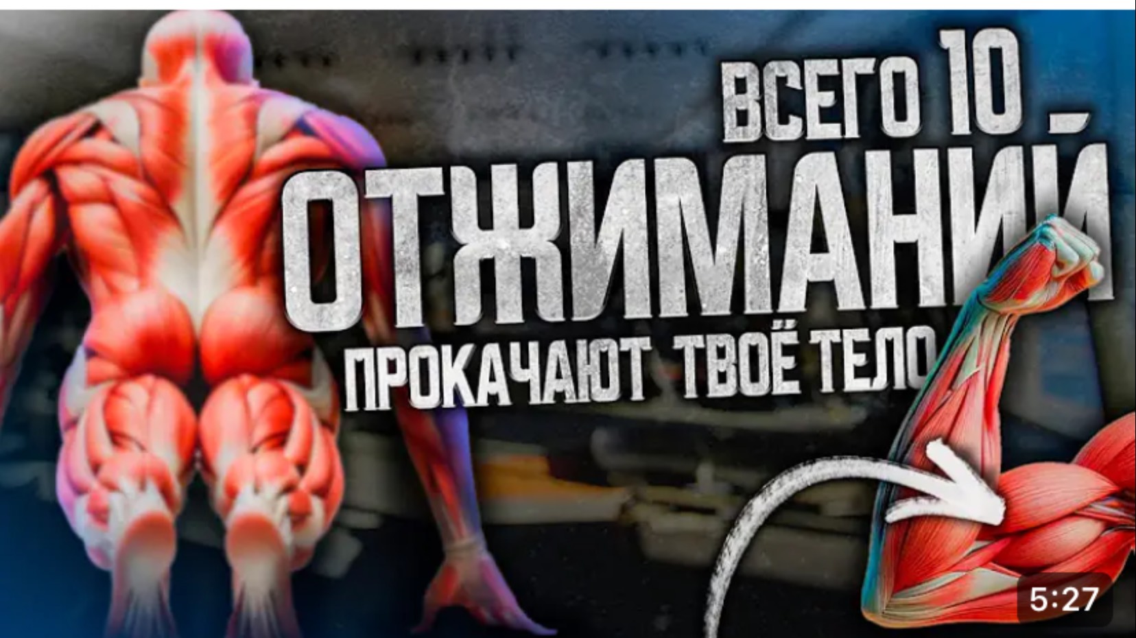 Что творит отжимания 🔥