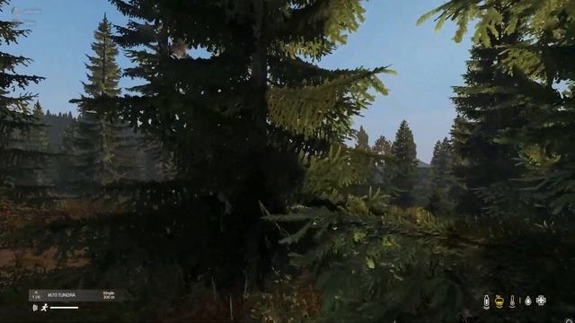 Dayz - From freshie to end game weapons in 20 minutes смотреть онлайн