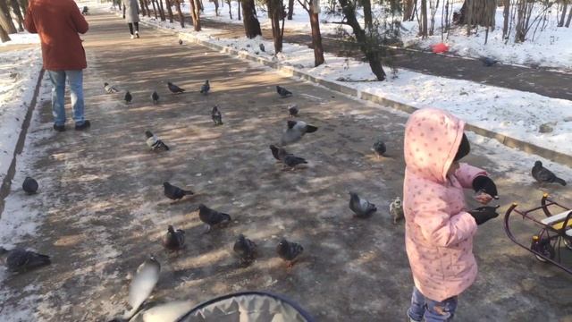 Бусичка и Мира кормят голубей. Близняшки спят в колясочке. смотреть онлайн