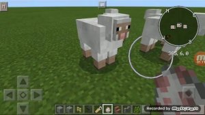 Как сделать разноцветную овцу в майнкрафт пе