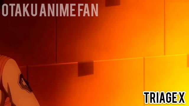 Triage x [AMV] Don t let me down-REMIX смотреть онлайн